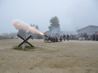 DSC 6196
