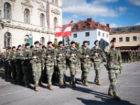 Angelobung Aufklärungs und Artilleriebataillon 3  Angelobung Aufklärungs und Artilleriebataillon 3 in Laa an der Thaya am 18 10 2025