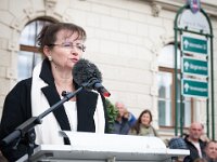 Angelobung Aufklärungs und Artilleriebataillon 3  Angelobung Aufklärungs und Artilleriebataillon 3 in Laa an der Thaya am 18 10 2025