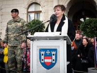 Angelobung Aufklärungs und Artilleriebataillon 3  Angelobung Aufklärungs und Artilleriebataillon 3 in Laa an der Thaya am 18 10 2025