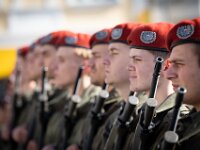 Angelobung Aufklärungs und Artilleriebataillon 3  Angelobung Aufklärungs und Artilleriebataillon 3 in Laa an der Thaya am 18 10 2025