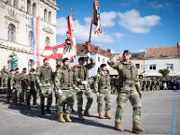 Angelobung Aufklärungs und Artilleriebataillon 3  Angelobung Aufklärungs und Artilleriebataillon 3 in Laa an der Thaya am 18 10 2025